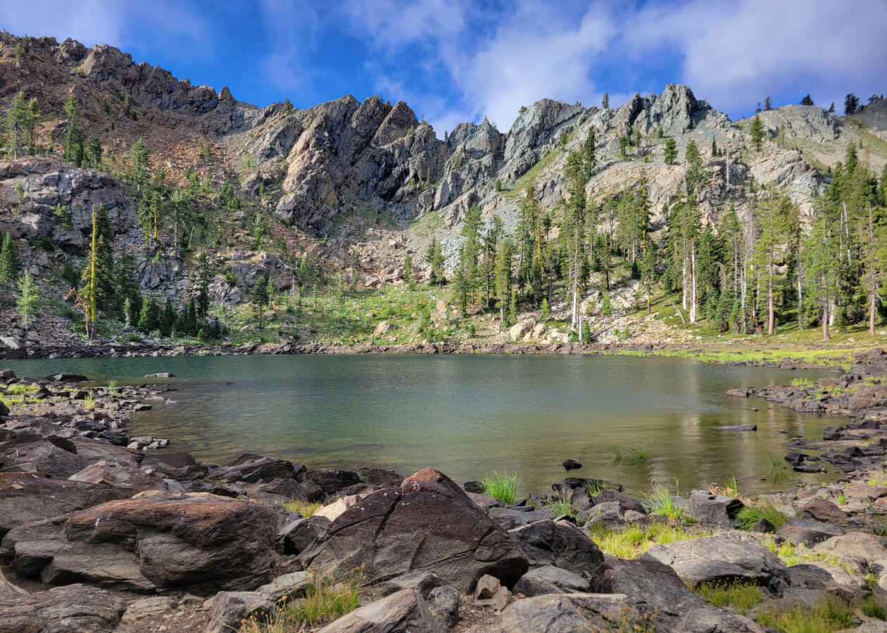 Exploring the wilderness