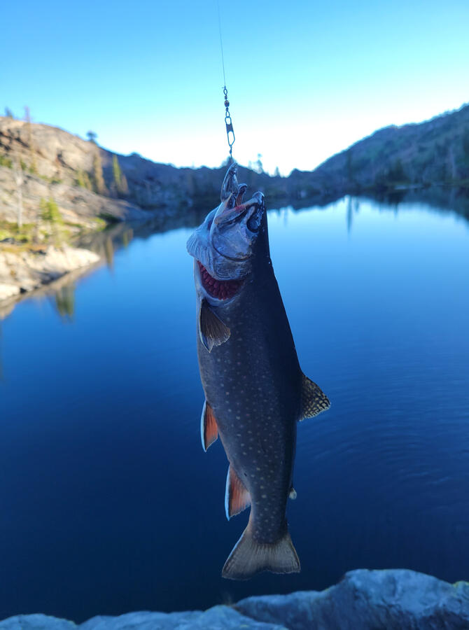 Untitled Backcountry fishing
